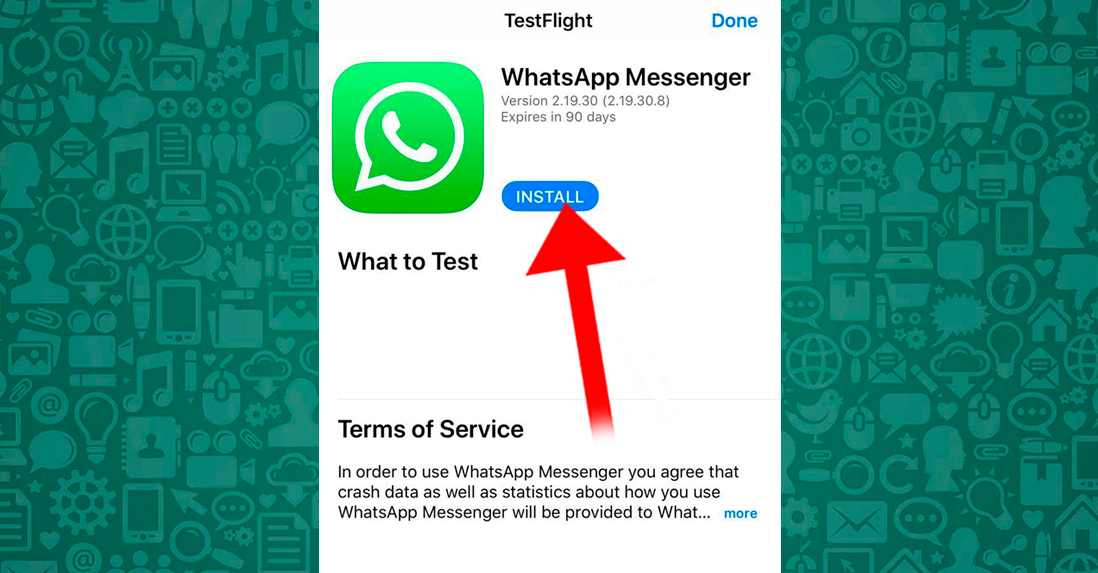 Jak mogę zostać beta testerem WhatsApp na telefonie z systemem iOS lub Android?